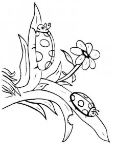 Insect coloring page 32 - Free printable