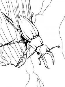 Insect coloring page 34 - Free printable