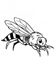 Insect coloring page 40 - Free printable