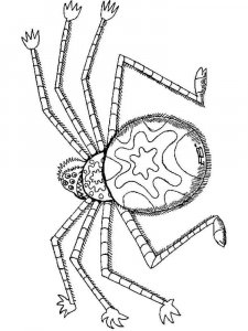 Insect coloring page 45 - Free printable