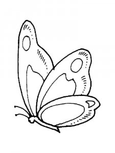 Insect coloring page 5 - Free printable