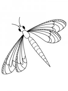 Insect coloring page 7 - Free printable