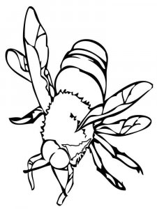 Insect coloring page 8 - Free printable