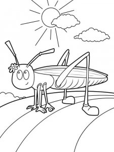 Insect coloring page 9 - Free printable