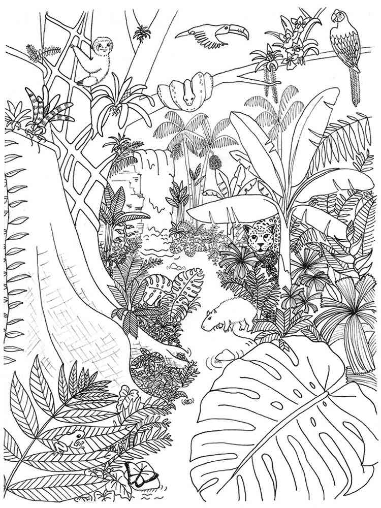 Jungle coloring pages. Download and print Jungle coloring pages