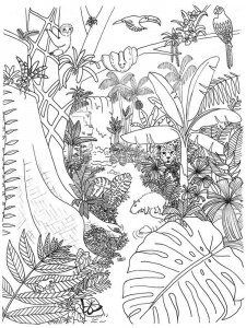 Jungle coloring page 6 - Free printable