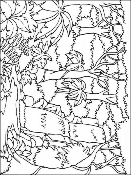 Jungle coloring pages Jungle coloring pages