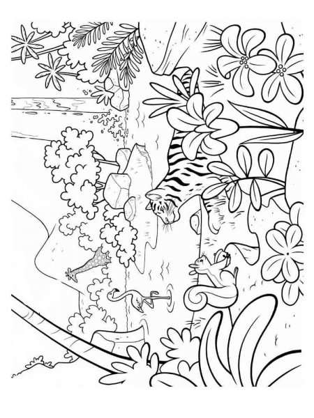 Jungle coloring pages