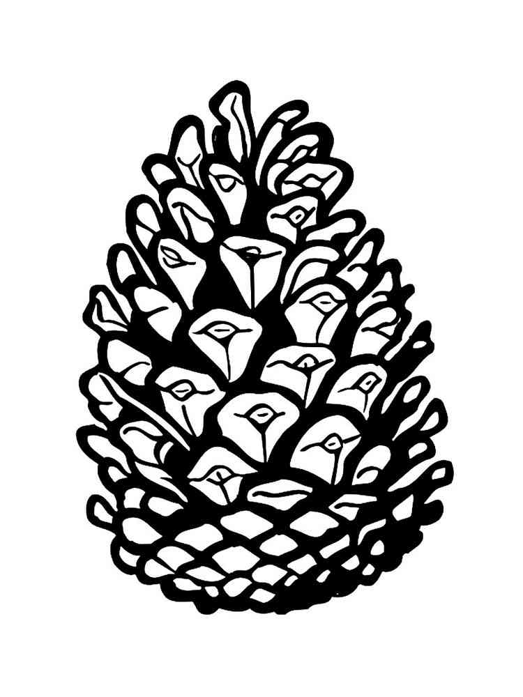 Pine Cone Coloring Pages Download And Print Pine Cone Coloring Pages