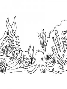 Seaweed coloring page 2