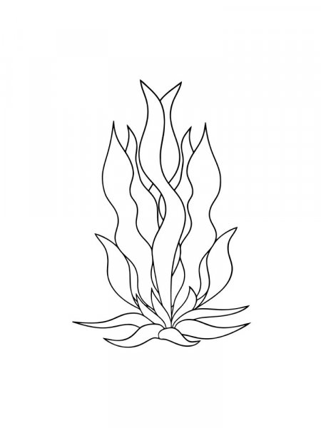 Seaweed Coloring Pages