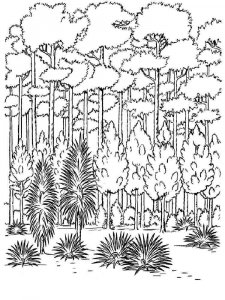 Forest coloring page 13 - Free printable