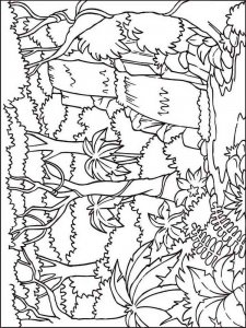 Forest coloring page 16 - Free printable