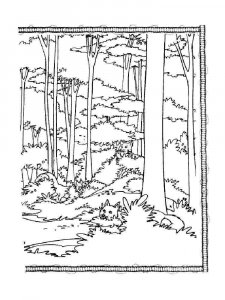 Forest coloring page 18 - Free printable