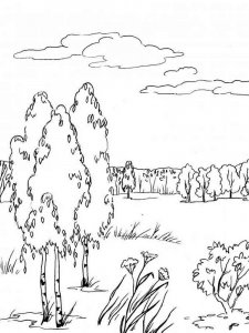Forest coloring page 2 - Free printable