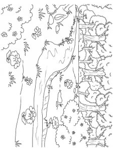Forest coloring page 29 - Free printable