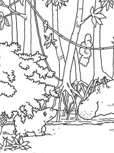 Forest coloring page 5 - Free printable