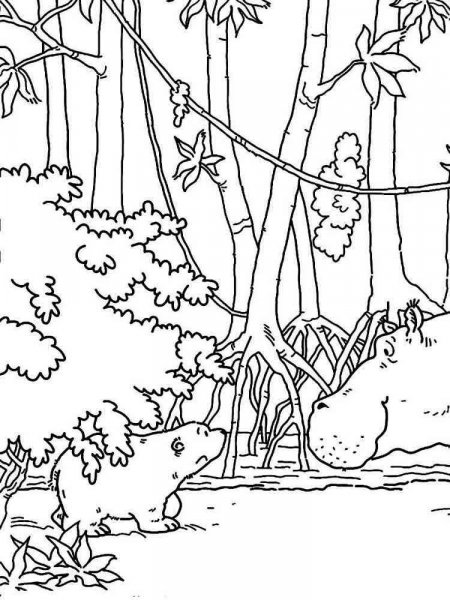 Forest Coloring Pages