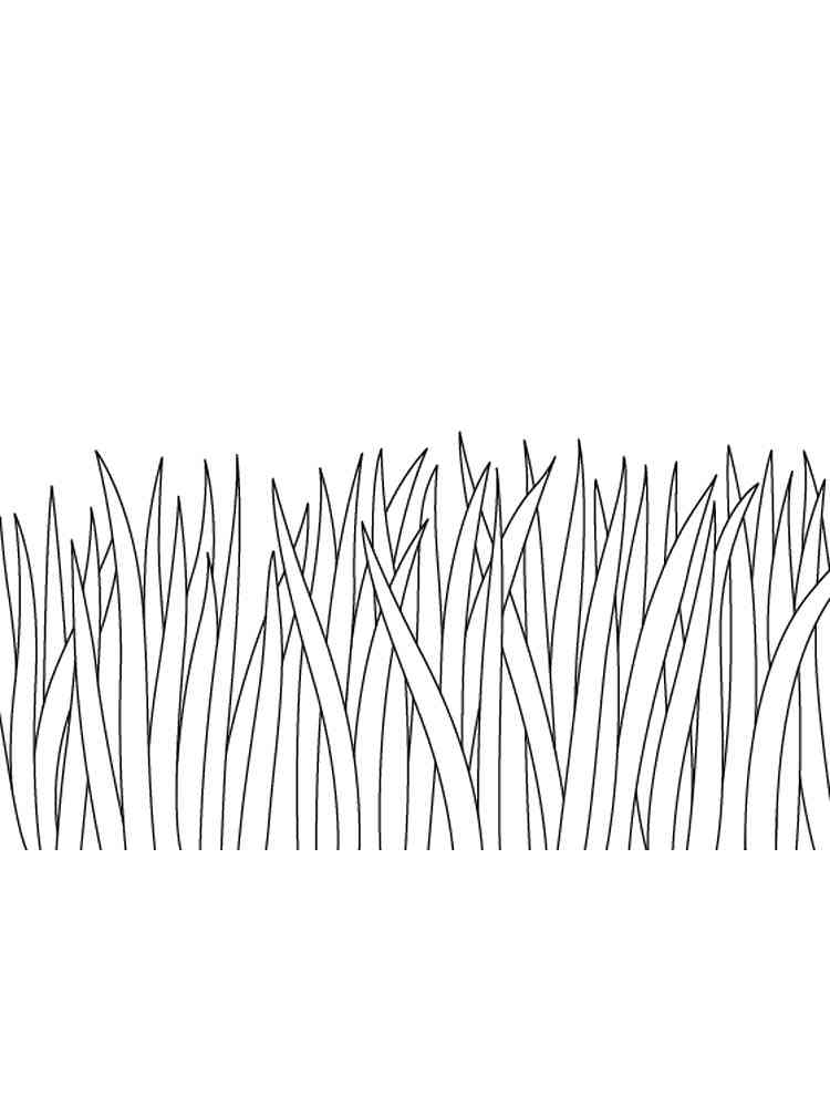 lawn coloring page