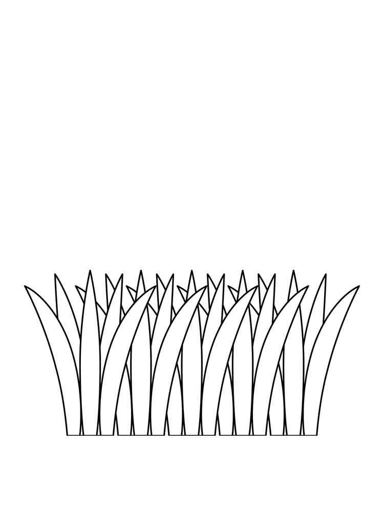 Grass Coloring Pages