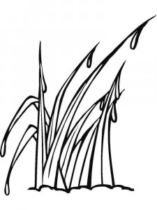 Grass coloring page 11
