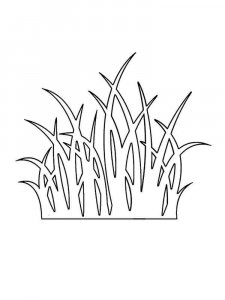 Grass coloring page 12