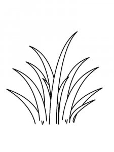 Grass coloring page 2