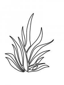 Grass coloring page 9