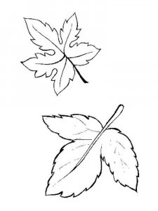 Leaf coloring page 19 - Free printable