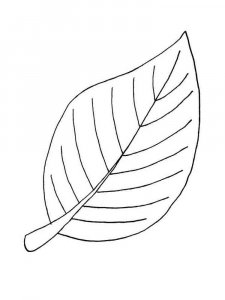 Leaf coloring page 21 - Free printable
