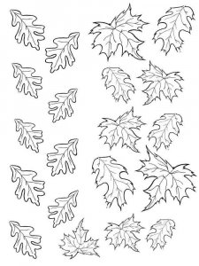 Leaf coloring page 25 - Free printable