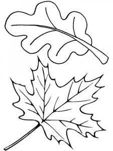Leaf coloring page 26 - Free printable