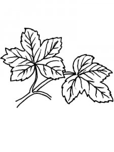 Leaf coloring page 28 - Free printable