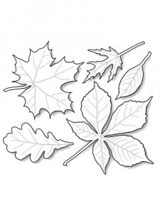 Leaf coloring page 33 - Free printable