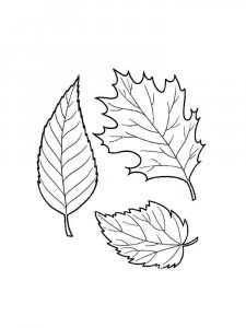 Leaf coloring page 39 - Free printable