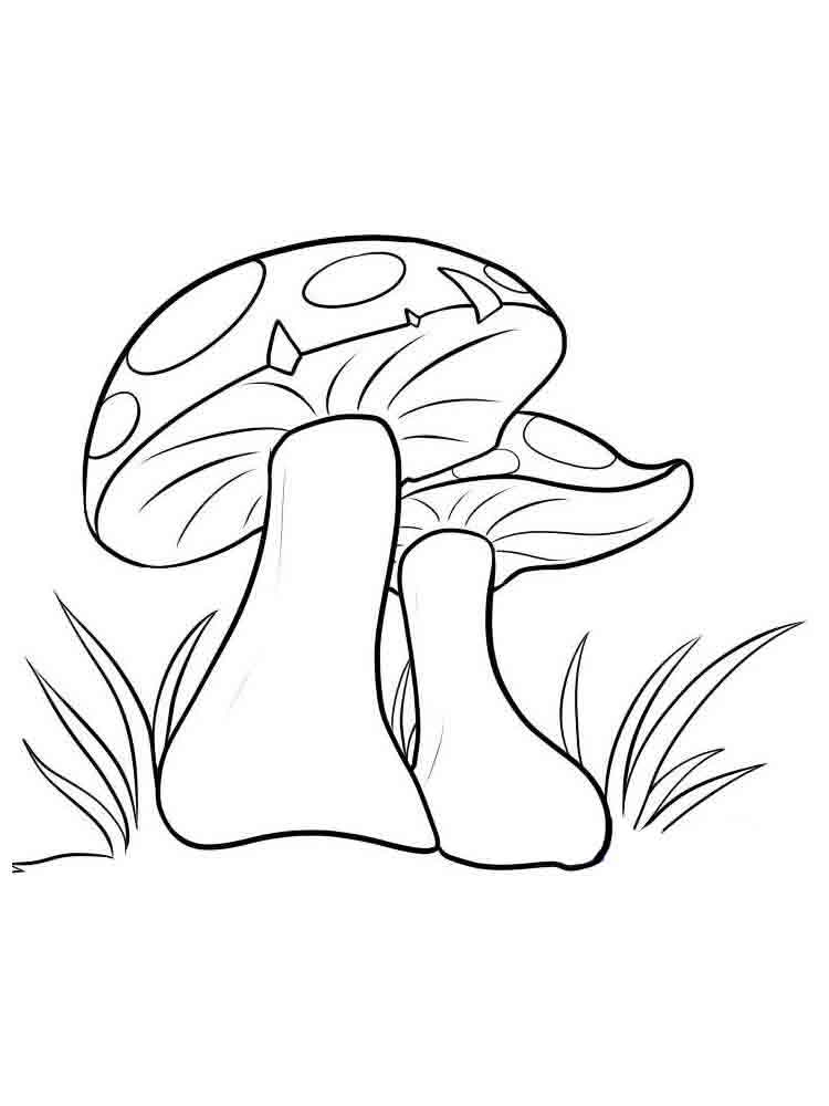 Mushroom Coloring Pages Cartoon Mushrooms Oyster Printable Color ...