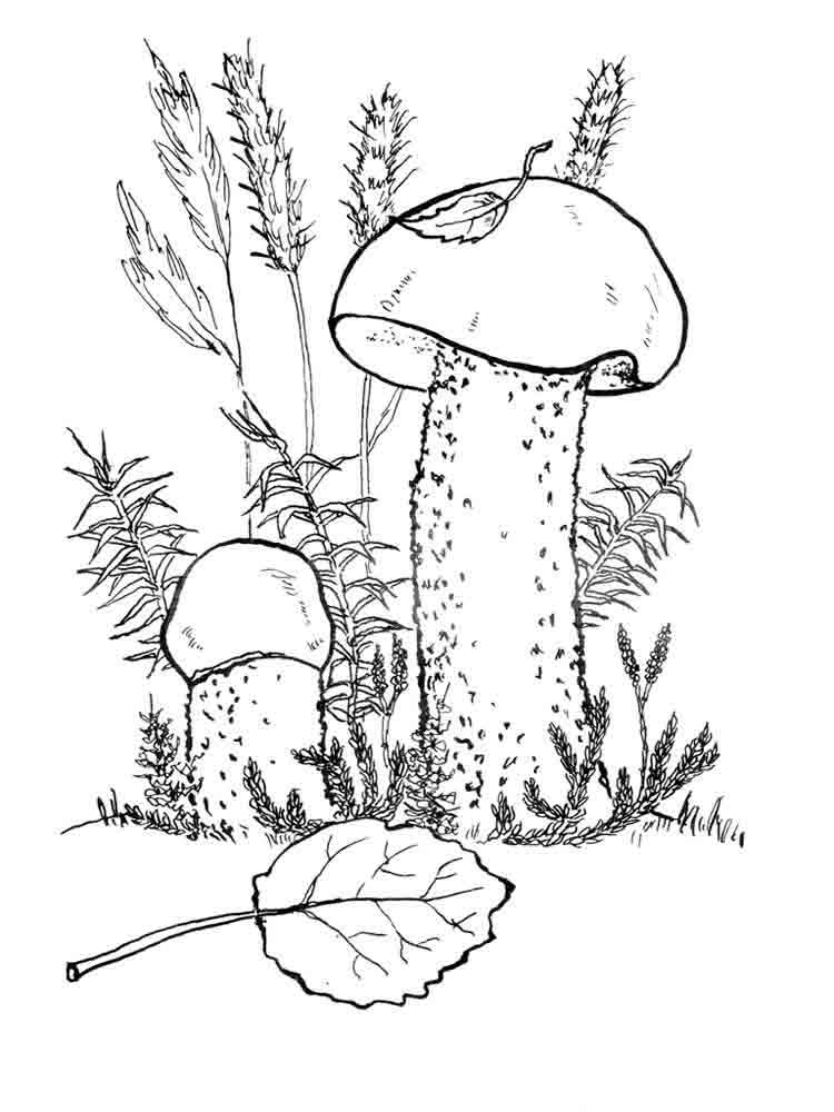 Mushrooms coloring pages. Download and print mushrooms coloring pages