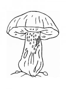 Mushrooms Coloring Pages 19