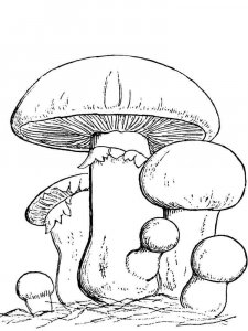 Mushrooms Coloring Pages 23