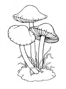 Mushrooms Coloring Pages 27