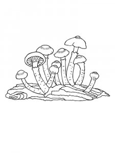 Mushrooms Coloring Pages 35