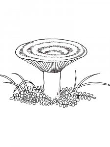 Mushrooms Coloring Pages 4