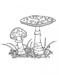Mushrooms Coloring Pages 5