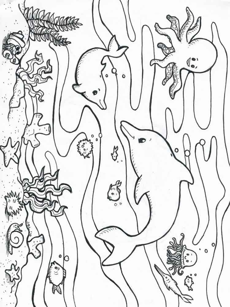 Free Ocean coloring pages. Download and print Ocean coloring pages