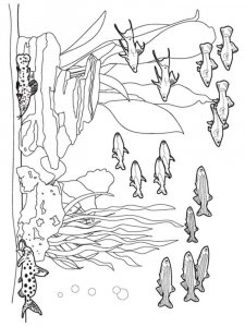 Ocean coloring page 5 - Free printable