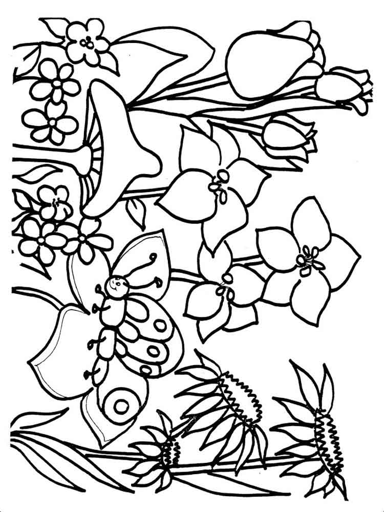 Plants Coloring Pages