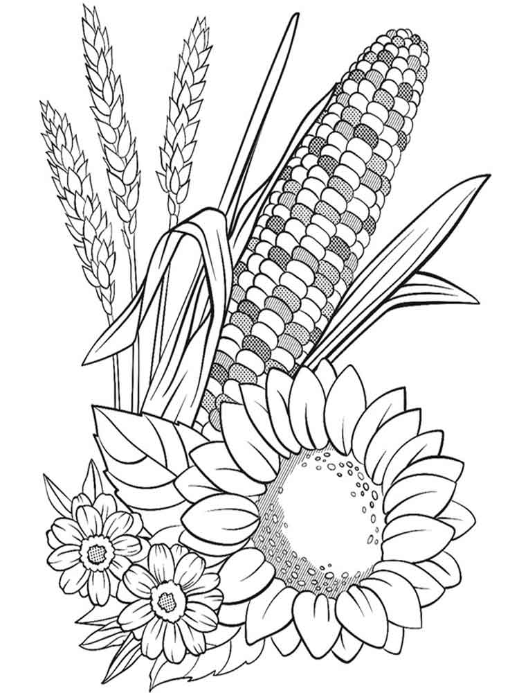 Plants Coloring Pages