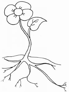 Plants coloring page 12 - Free printable
