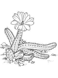 Plants coloring page 22 - Free printable
