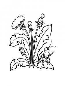 Plants coloring page 24 - Free printable